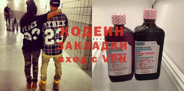 шишки Пересвет