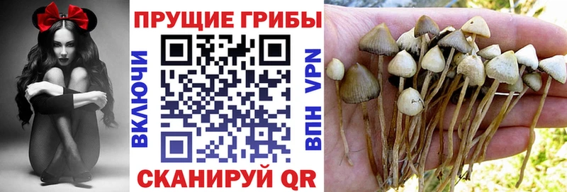 Псилоцибиновые грибы Psilocybine cubensis  дарнет шоп  Емва 